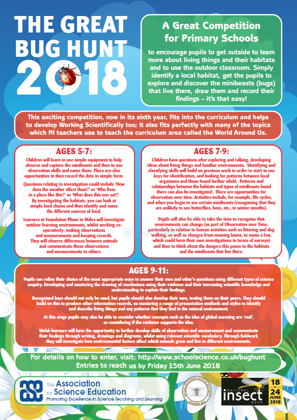 Competitions National Insect Week