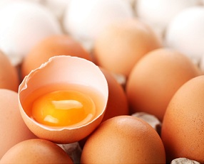 Egg adn Enzymes