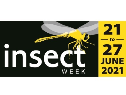 A week of activities nationwide, National Insect Week encourages people of all ages to learn more about insects. National Insect Week returns in 2020