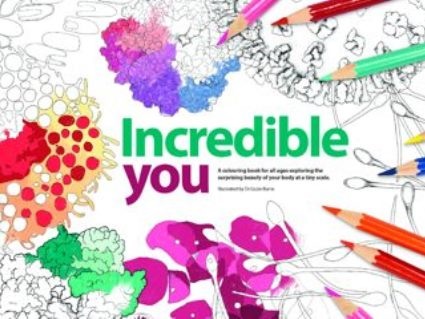 These free colouring-in resources explore the surprising beauty of your body at a tiny scale, and are suitable for all ages. Incredible You offers the chance to explore all 17 pathology specialities – there is at least one illustration, plus supporting information, for each.