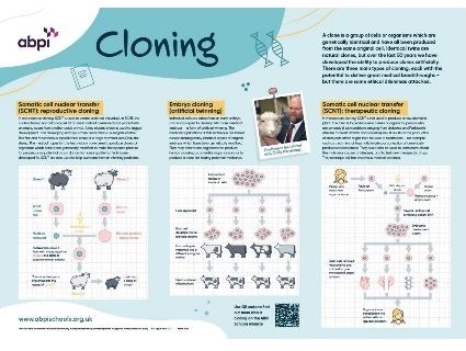 An introduction to cloning for 14-16 and 16+ students with a downloadable poster. The resource consists of a poster and a set of teaching materials that includes information, classroom activities and quizzes. Free full size posters can be ordered from the ABPI site or downloaded in pdf format.