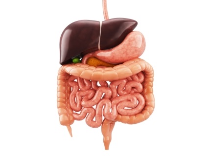 A resource to help stdents aged 11-16 to understand the process of digestion, food types and the need for a balanced diet.