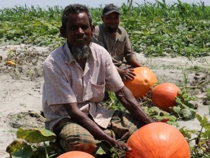 An exciting set of cross curricular activities for pupils aged 7-11 years to explore the difference that growing pumpkins can make to the lives of people living in flood prone regions of Bangladesh. 