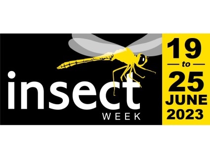A week of activities nationwide, National Insect Week encourages people of all ages to learn more about insects. National Insect Week returns in 2023