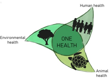 This interactive resource from abpi is intended for students aged 16+ years. One Health is a programme that recognises that the health of humans, animals and ecosystems are connected. In this approach, multiple disciplines work together locally, nationally, and globally to achieve the best outcome for human health, animal health and the environment.