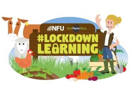 Teaming up with EatFarmNow, #LockdownLearning brings the world of food and farming and the joy of being out on the farm and in the countryside to the comfort of your own home during the current lockdown.