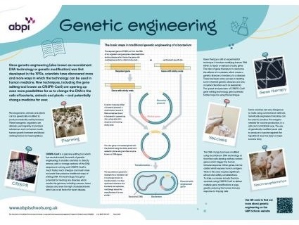 An introduction to genetic engineering for 14-16 and 16+ students, including a downloadable poster. The resource consists of a poster and a set of teaching materials that includes information, classroom activities and quizzes. Free full size posters can be ordered from the ABPI site or downloaded in pdf format.