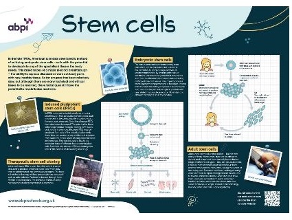 An introduction to stem cell science and ethics for 14-16 and 16+ students. The resource consists of a poster and a set of teaching materials that includes information, classroom activities and quizzes. Free full size posters can be ordered from the ABPI site or downloaded in pdf format.