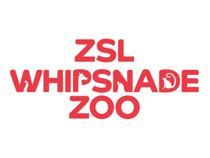 With so many different species housed at ZSL Whipsnade Zoo, the UK's biggest zoo, your trip will be full of excitement.