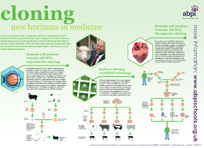 Cloning schoolscience co uk