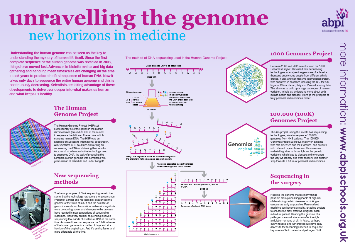 Project poster. Проект геном. Human Genome. Проект геном человека. Международная программа геном человека.