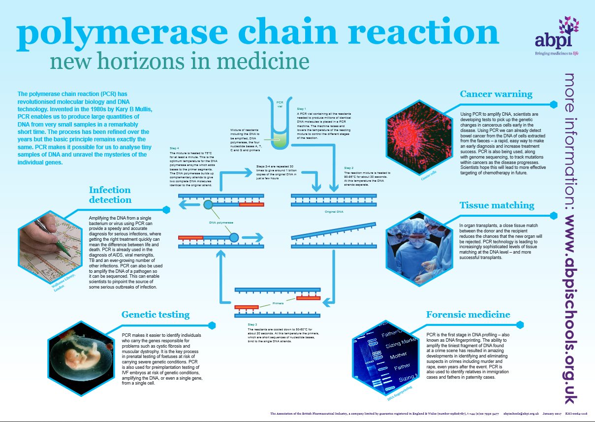 Источник https chemer ru services reactions chains. Polymerase Chain Reaction. PCR. DNA Samples Case.